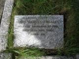 image of grave number 244119